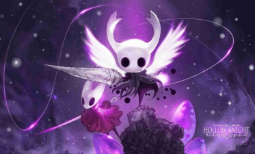 Top 10 Facts About Hollow Knight